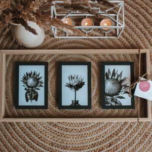 Protea-Blom Drieluik Fotolijst